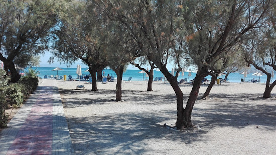 Tsamakia beach