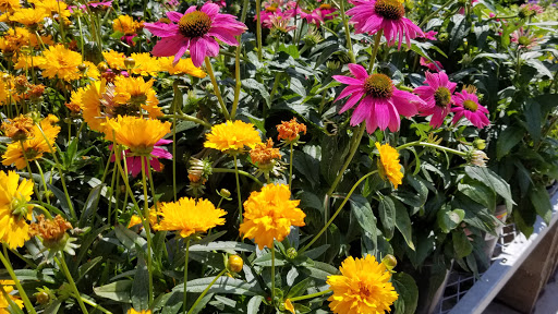 Home Improvement Store «The Home Depot», reviews and photos, 3101 Manawa Center Dr, Council Bluffs, IA 51501, USA