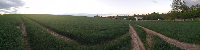 Comentarii opinii despre Wagnerówka