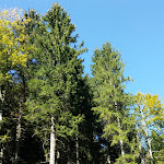 Photo n°4 de l'avis de Matthias.c fait le 27/10/2018 à 05:59 sur le  Aueralm à Bad Wiessee