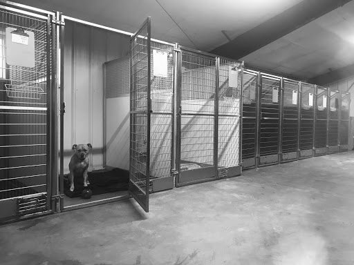 Pet Supply Store «Willow Farm Pet Services», reviews and photos, 21 VT-106, North Springfield, VT 05150, USA