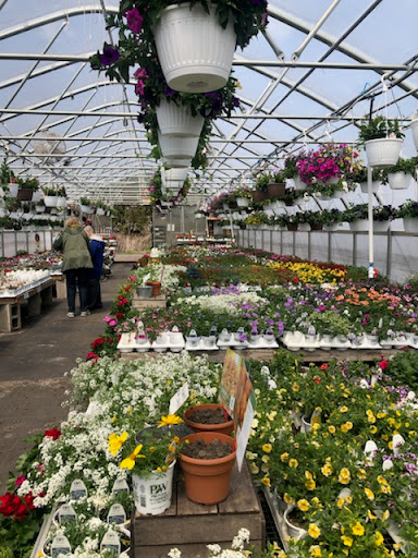 Produce Market «Sunscape Farms», reviews and photos, 1420 Creek St, Rochester, NY 14625, USA