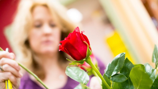 Florist «Blooms Of Wayne», reviews and photos, 2075 Hamburg Turnpike, Wayne, NJ 07470, USA