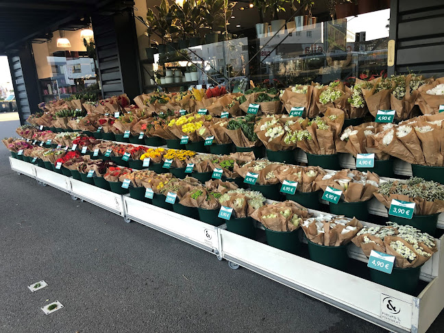 Le Jardin des Fleurs - Fleuriste