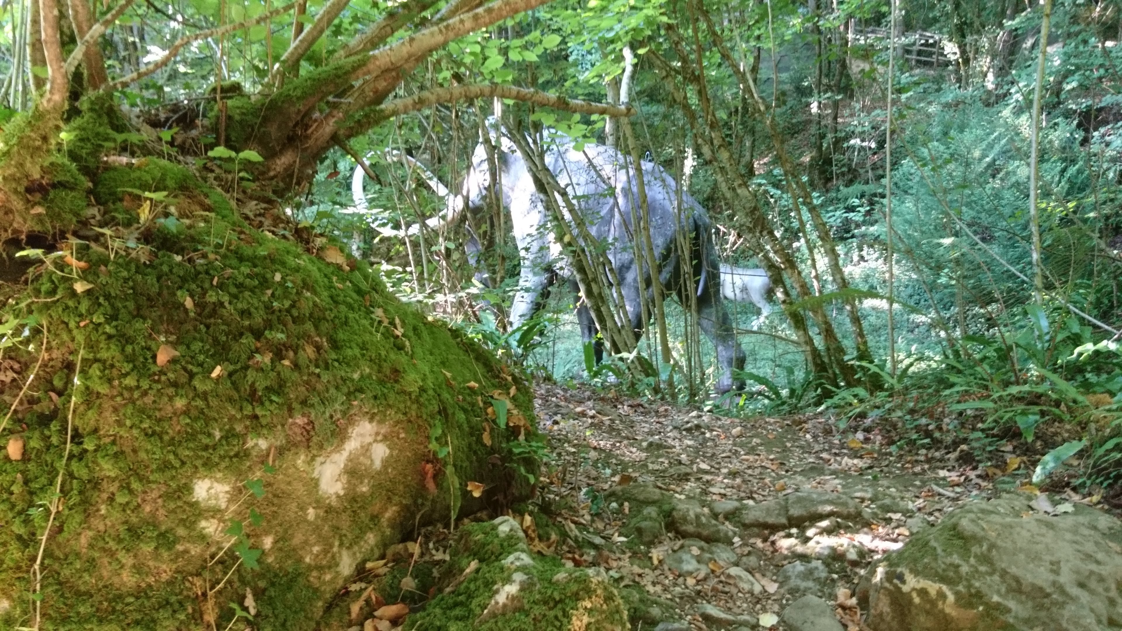 Photo n° 2 de l'avis de Karine.a fait le 28/08/2018 à 09:58