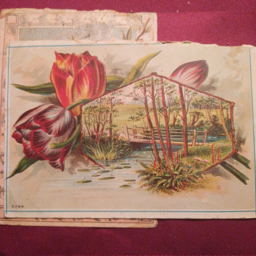 Thrift Store «Second Blessing Thrift Store Inc.», reviews and photos, 2323 Central Ave, Wichita, KS 67214, USA