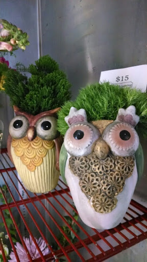 Florist «bloom & buttercup», reviews and photos, 1900 Johnson St NE, Minneapolis, MN 55418, USA