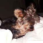 Photo n°31 de l'avis de I..i fait le 20/04/2019 à 07:12 sur le  Gutshotel Feuerschwendt im Bayerischen Wald à Neukirchen vorm Wald