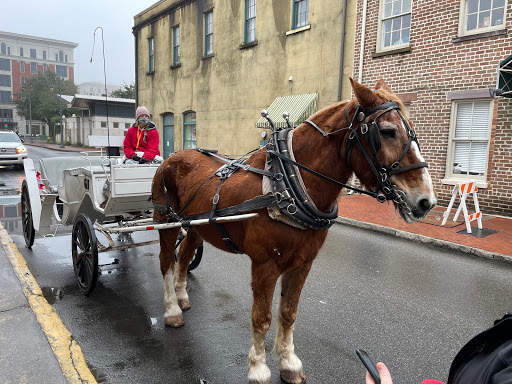 Carriage Tours of Savannah