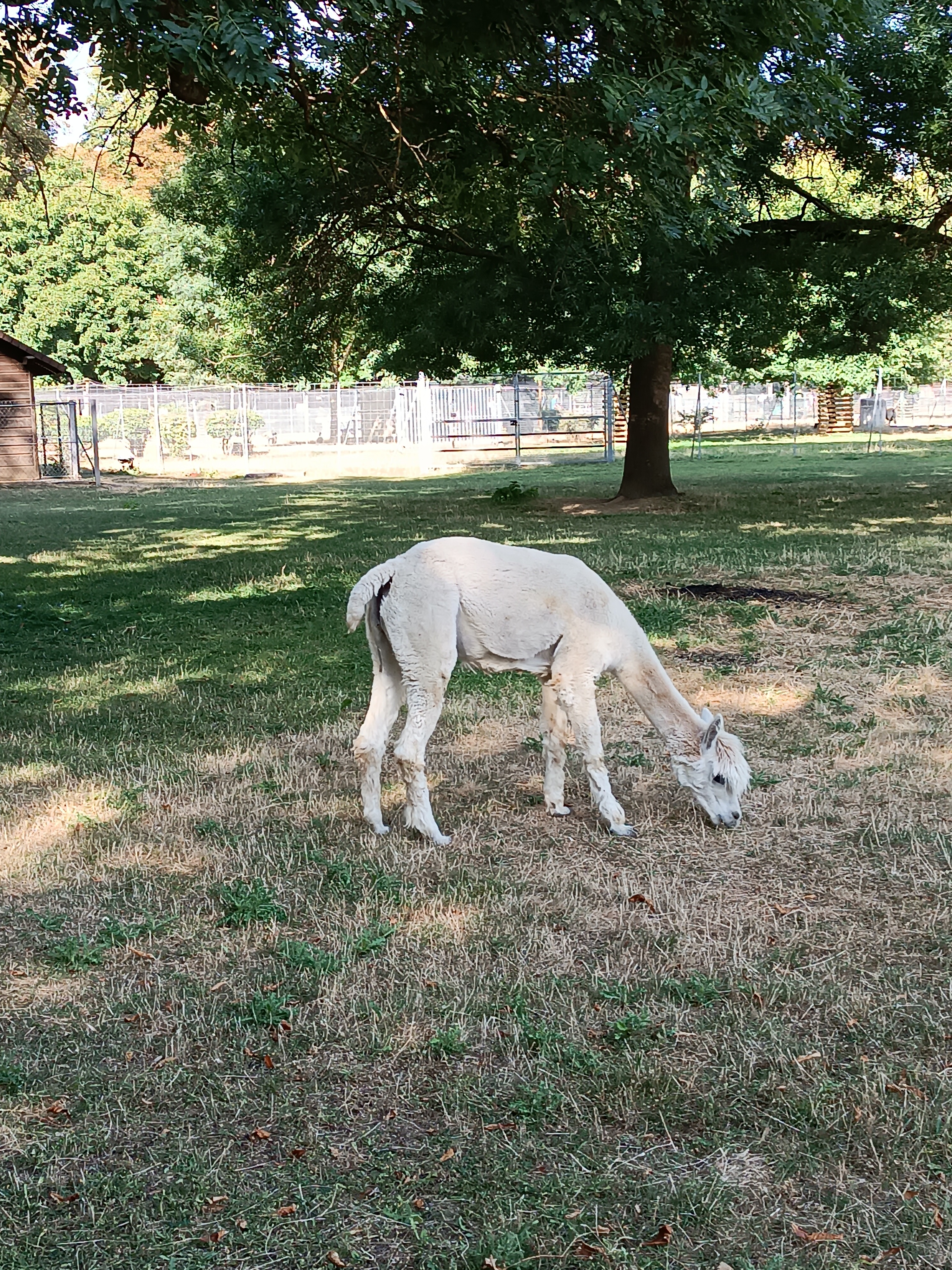 Photo n° 5 de l'avis de Ingrid.e fait le 28/07/2022 à 20:24