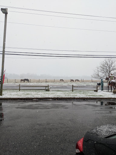 Western Apparel Store «Cowtown Cowboy Outfitters», reviews and photos, 761 US-40, Pilesgrove, NJ 08098, USA