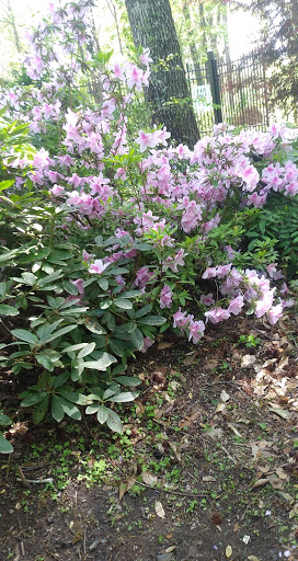 Government Office «Bear Hollow Wildlife Trail», reviews and photos, 293 Gran Ellen Dr, Athens, GA 30606, USA