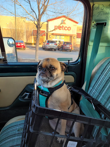 Pet Supply Store «Petco Animal Supplies», reviews and photos, 2210 N Eagle Rd, Meridian, ID 83646, USA