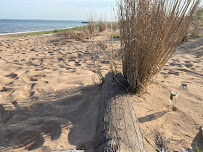 Milos Fitness - Photo 1 - Car repair in Staten Island, NY, Staten Island