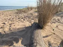 Milos Fitness - Car repair in Staten Island, NY, Staten Island - Rated 5.0/5