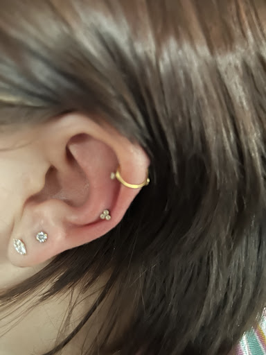 Explore dutch tattoo ideas, creative tattoo ideas in Cincinnati, available at Beelistic Tattoo and Piercing