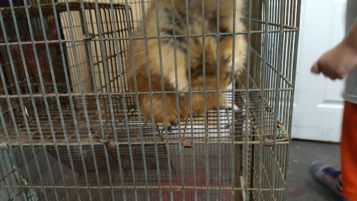 Tropical Fish Store «Age of Aquariums», reviews and photos, 118 N Cedar Ave, Cookeville, TN 38501, USA