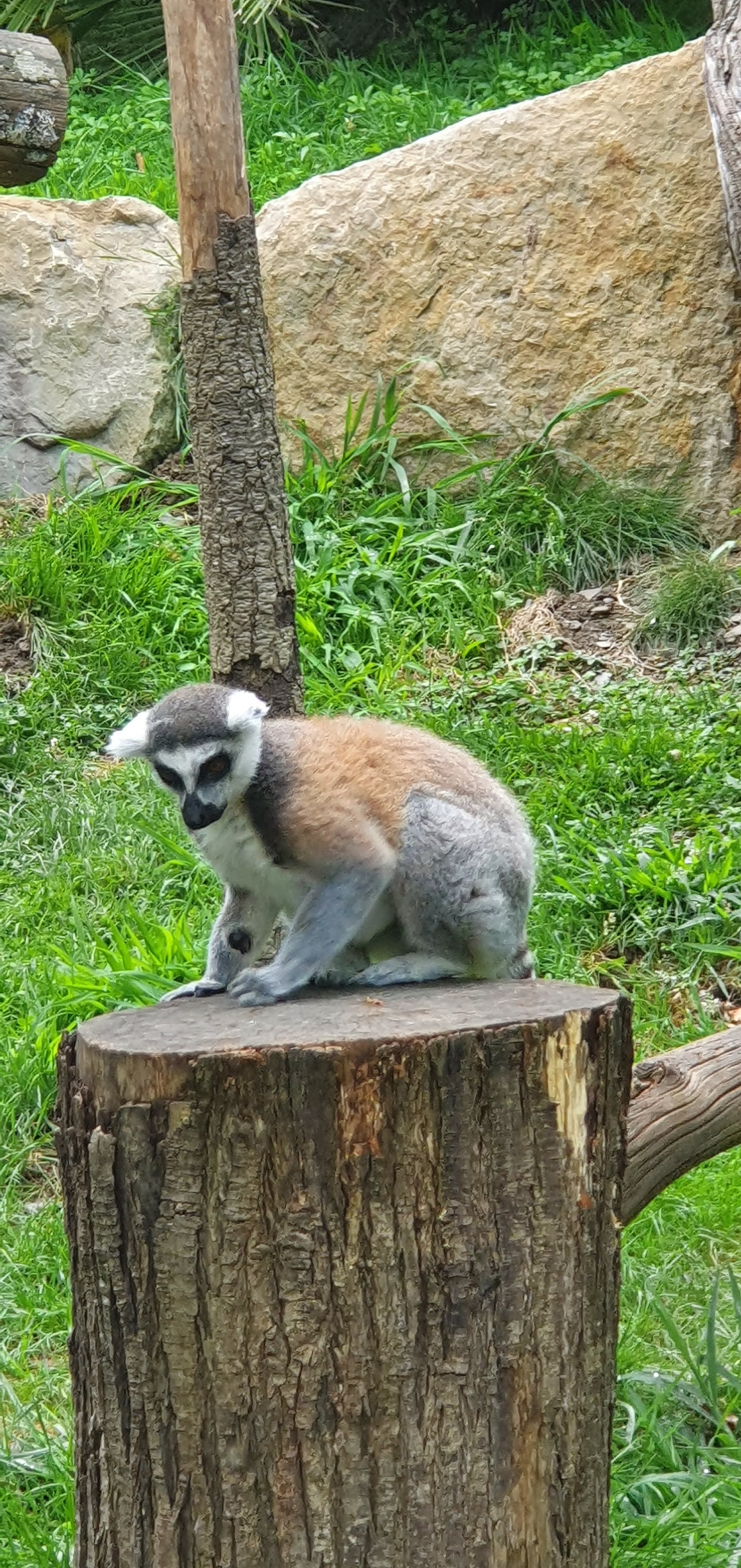 Photo n° 8 de l'avis de Beatrice.o fait le 20/08/2022 à 07:43