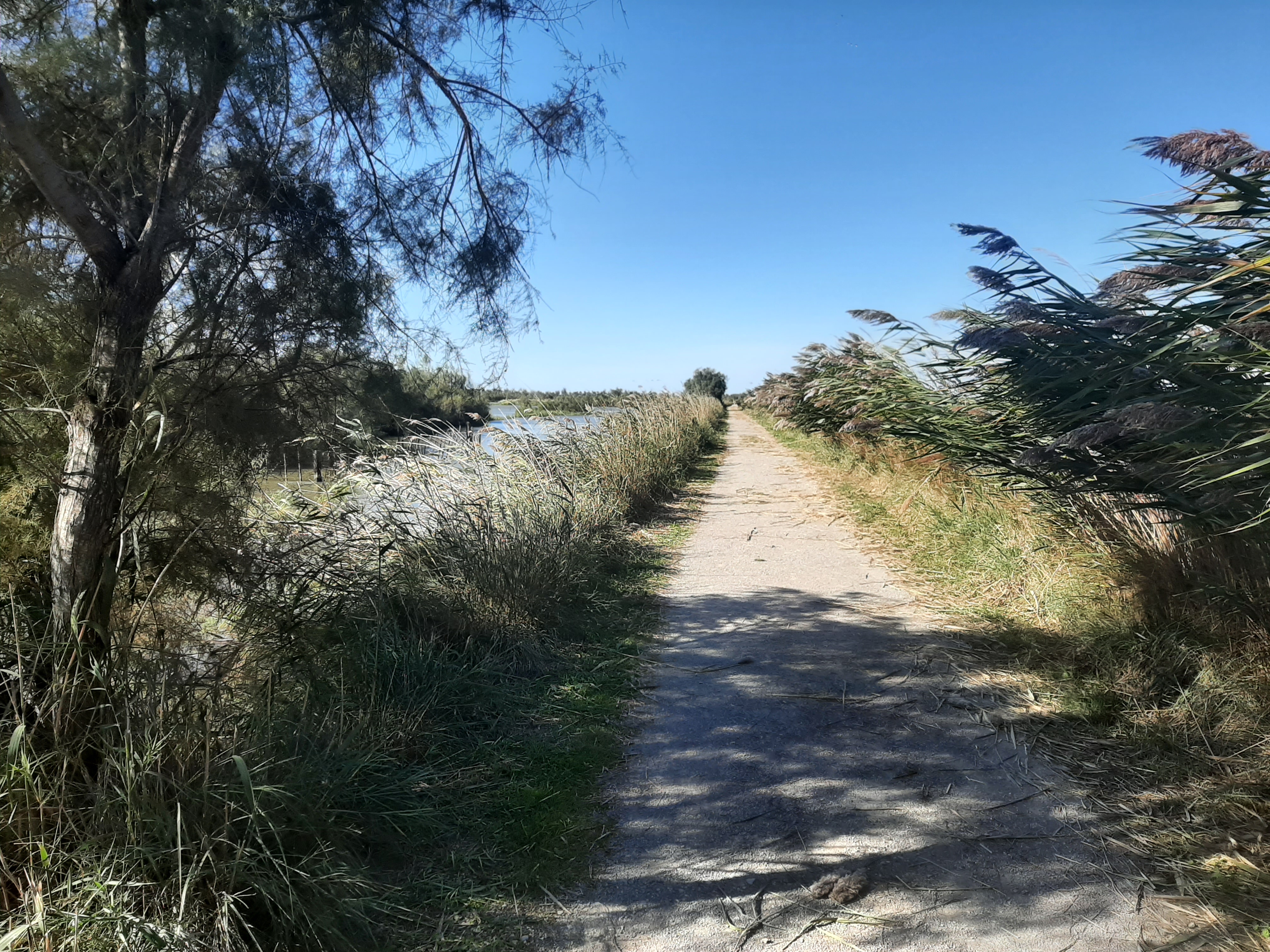 Photo n° 2 de l'avis de ilane.t fait le 14/10/2021 à 06:39