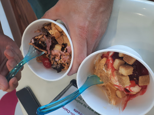 Frozen Yogurt Shop «Zen Beri Frozen Yogurt», reviews and photos, 1241 Point Mallard Pkwy #413, Decatur, AL 35601, USA