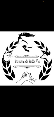 Domaine de Belle Vie à Biran
