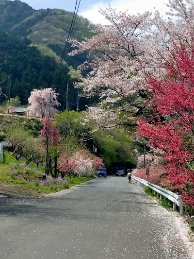 花桃祭り会場