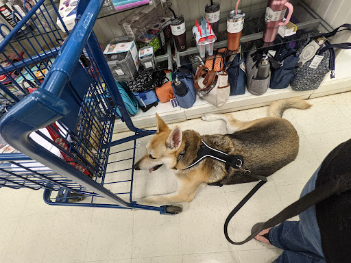 Department Store «Marshalls», reviews and photos, 1200 Park Manor Blvd, Pittsburgh, PA 15205, USA