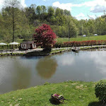 Photo n°3 de l'avis de Stefano.a fait le 12/04/2019 à 16:13 sur le  Ristorante Il Laghetto della Gelata à Soriso