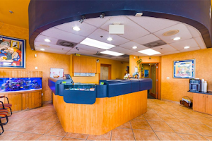 County Line Chiropractic Medical & Rehab image