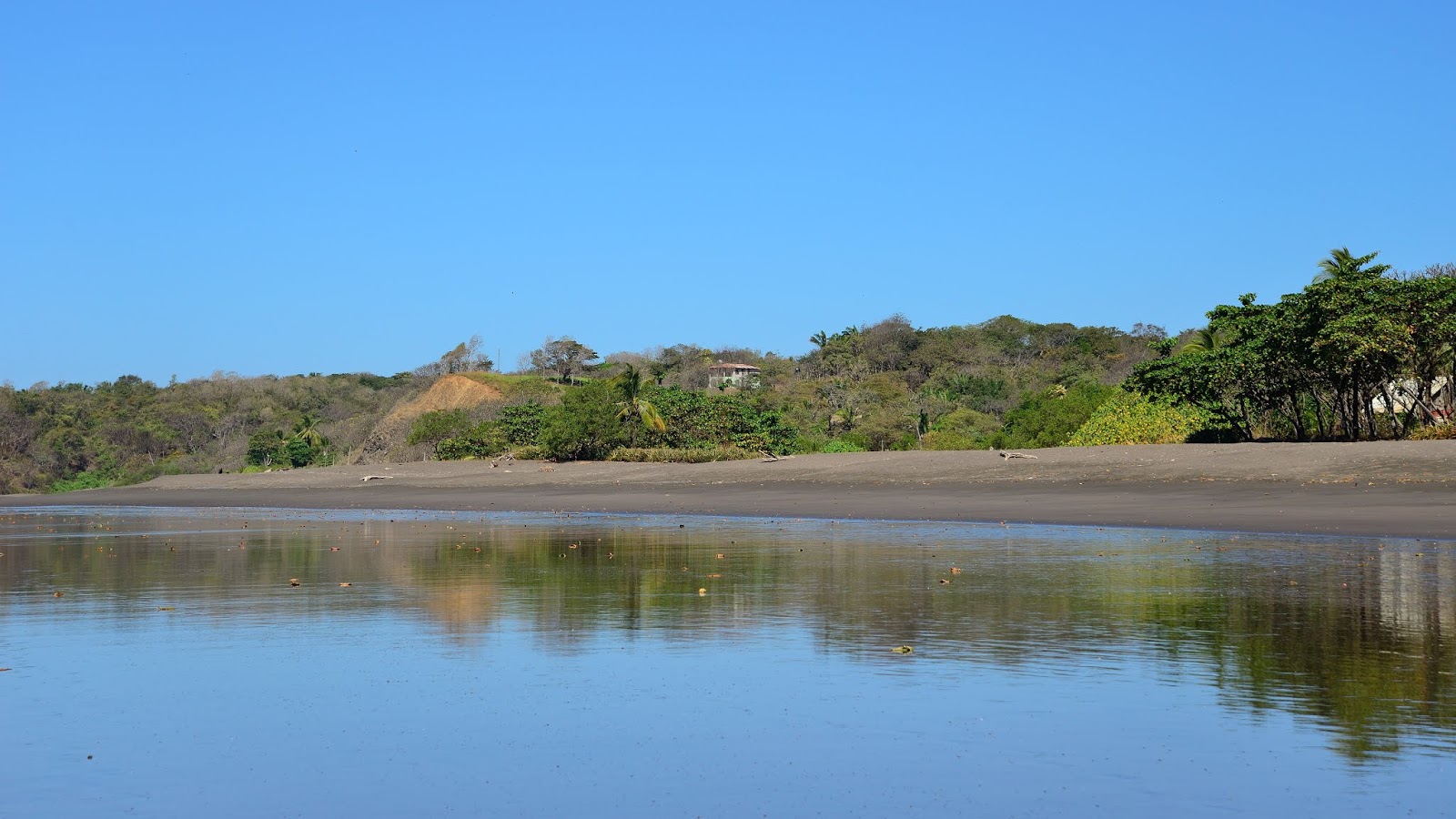 Ostional Beach photo #7