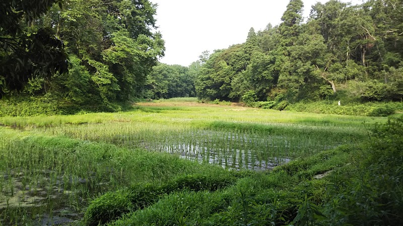 堂谷津の里