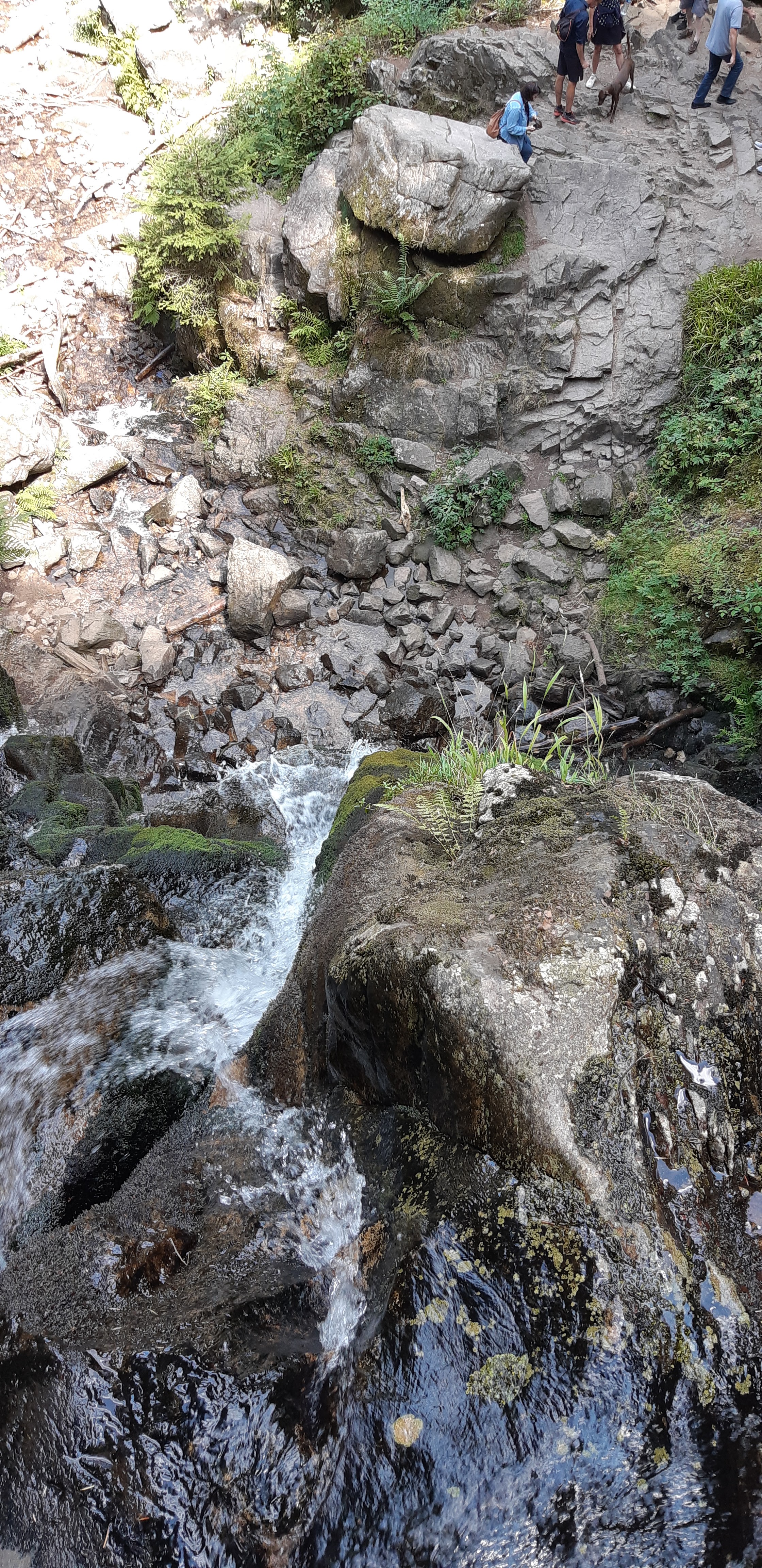 Photo n° 6 de l'avis de Anthony. fait le 03/08/2019 à 16:00