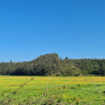 Photo n°1 de l'avis de Ana.a fait le 23/04/2023 à 20:22 sur le  Herdade do Amarelo - Natura & SPA - Turismo Rural no Alentejo à São Luís