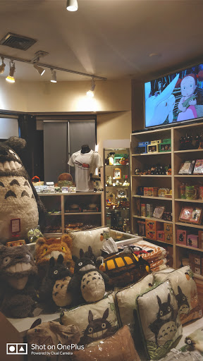 Gift Shop «Anime Zakka», reviews and photos, 36 John F. Kennedy St, Cambridge, MA 02138, USA