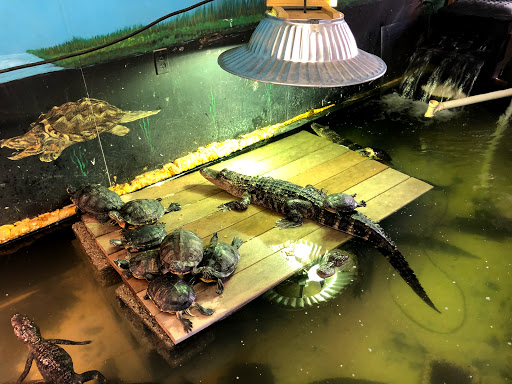 Animal Shelter «Animal Adventures Family Zoo & Rescue Center», reviews and photos, 336 Sugar Rd, Bolton, MA 01740, USA