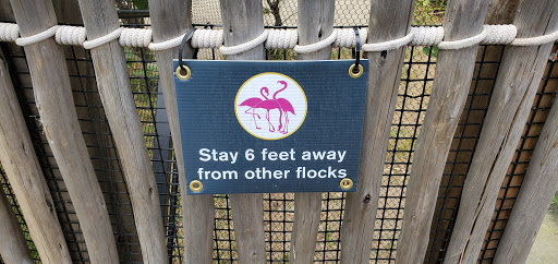 Zoo «Sacramento Zoo», reviews and photos, 3930 W Land Park Dr, Sacramento, CA 95822, USA