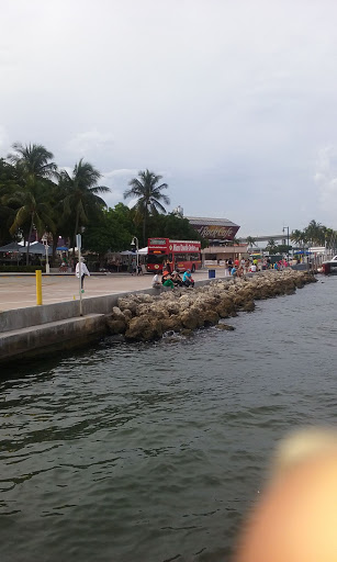 Performing Arts Theater «Bayfront Park Amphitheatre», reviews and photos, 301 Biscayne Blvd, Miami, FL 33132, USA