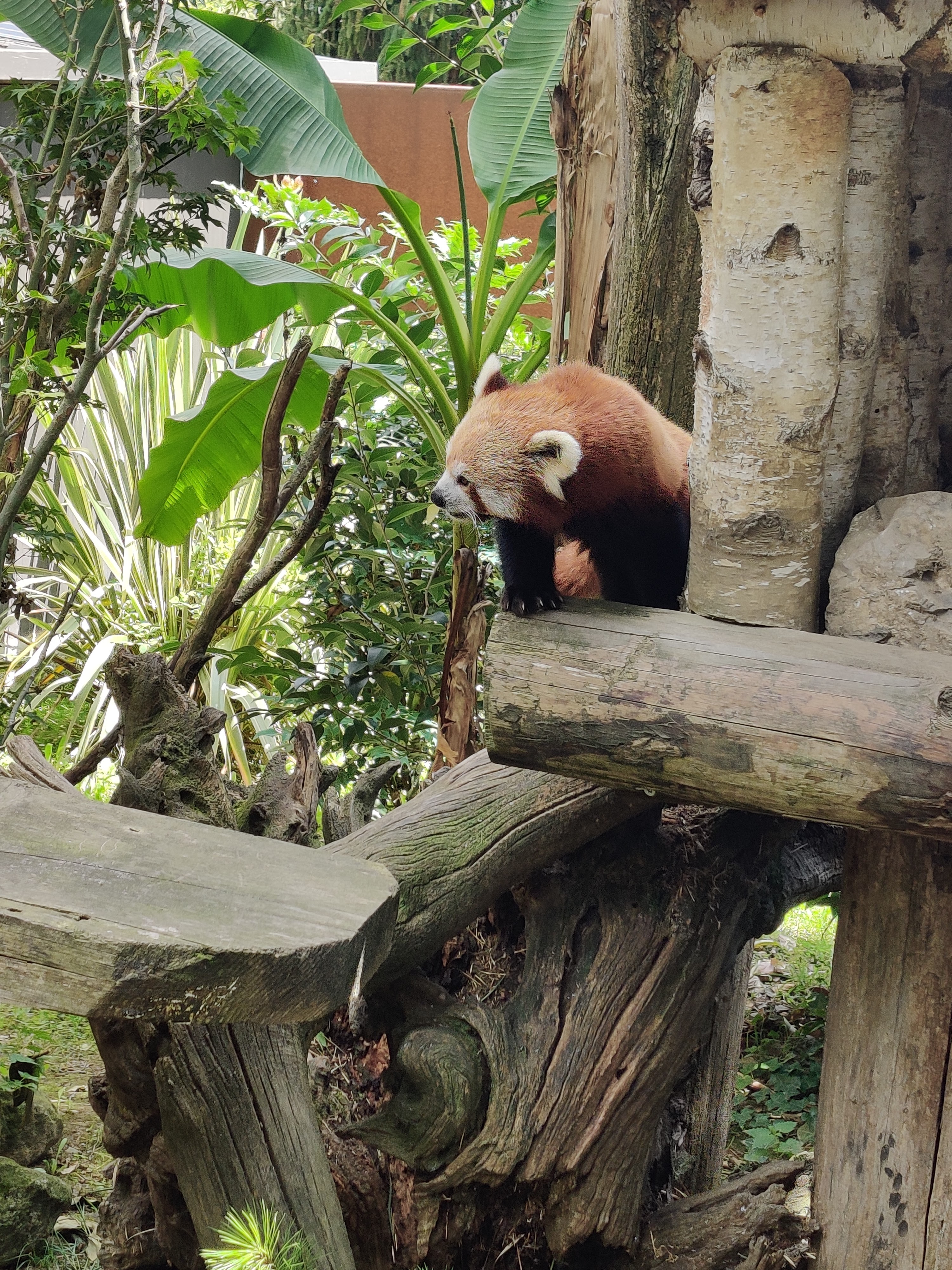 Photo n° 7 de l'avis de Emilie.a fait le 06/08/2023 à 13:12