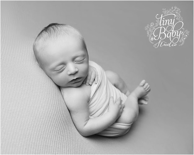 Comments and reviews of Tiny Baby Studio