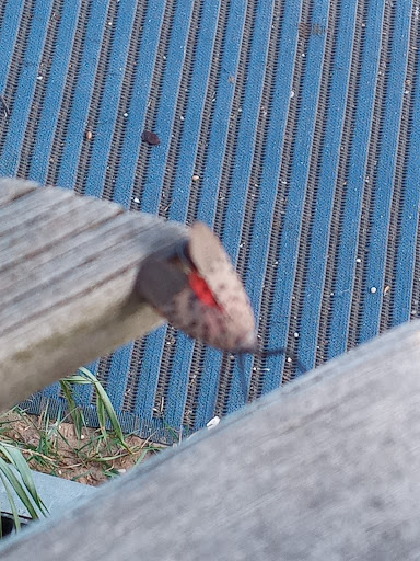 Monument «Fountain of the Dolphins», reviews and photos, 378 Sand Ln, Staten Island, NY 10305, USA