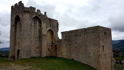 Château des Moines à Cruas