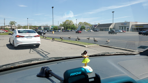 Supermarket «ALDI», reviews and photos, 5216 Detroit Ave, Elyria, OH 44035, USA