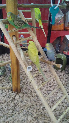 Pet Supply Store «Petco Animal Supplies», reviews and photos, 200 Triangle Shopping Center #230, Longview, WA 98632, USA