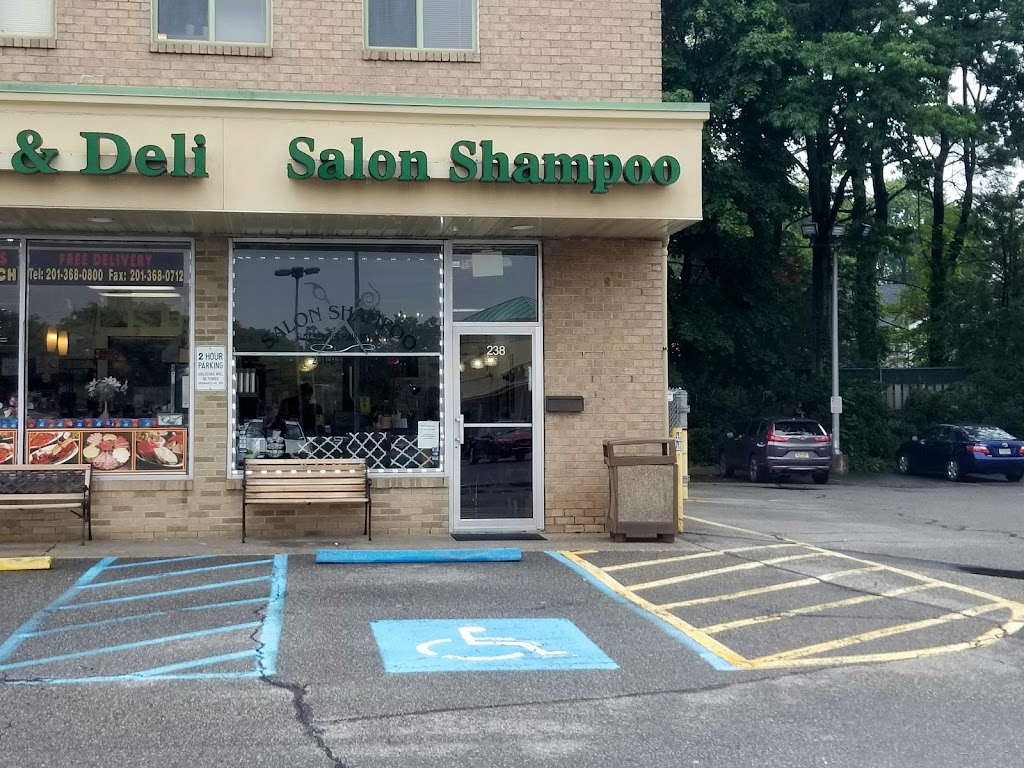 Salon Shampoo Rochelle Park, NJ 07662 Services and Reviews