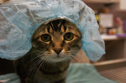 3210 Main Ave, Fargo, ND 58103, USA