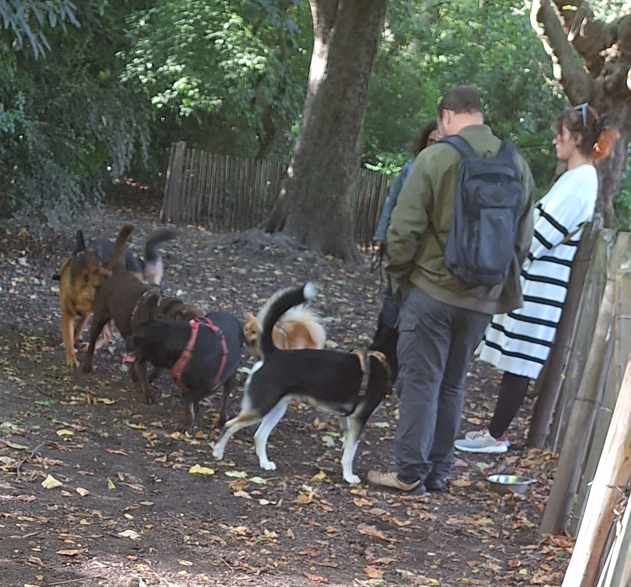 Photo n° 3 de l'avis de Annick.l fait le 05/09/2018 à 18:03