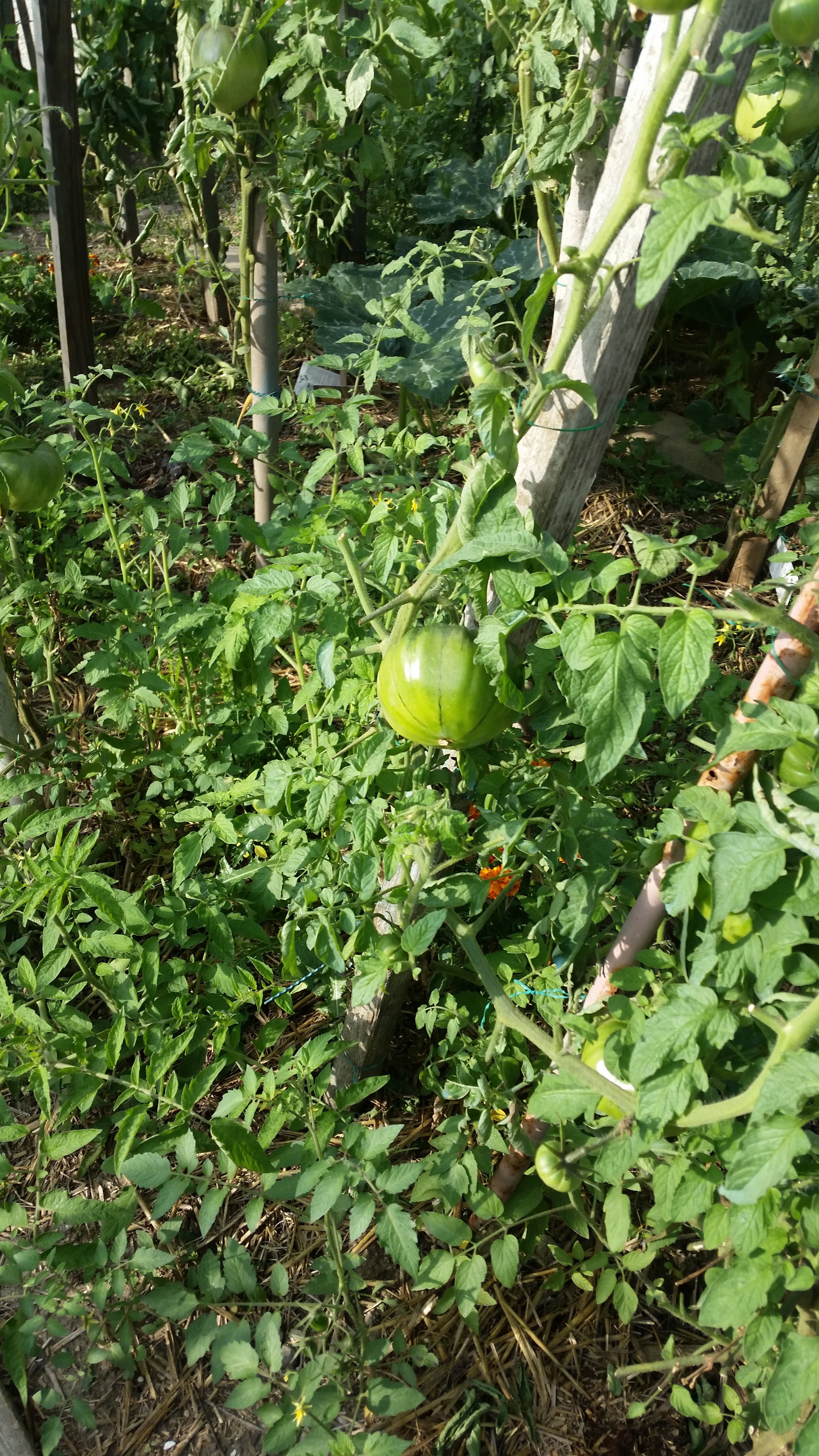 Photo n° 2 de l'avis de catherine.o fait le 01/09/2018 à 16:16
