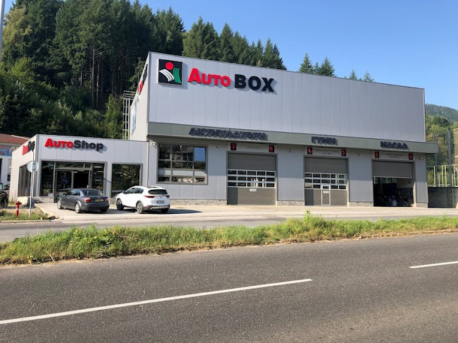 AutoBOX Смолян - магазин за гуми