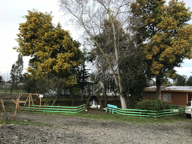 Escuela tranamil rulo - Nueva Imperial