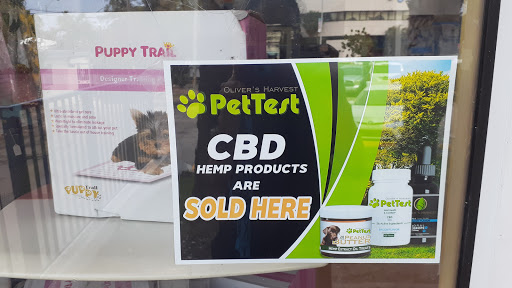 Pet Store «South Beach Pet Shop», reviews and photos, 634 6th St, Miami Beach, FL 33139, USA